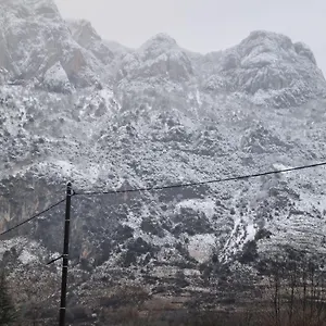 Aulos Studio , Aulos France