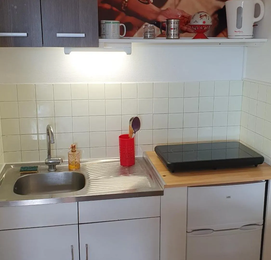 Studio Avec Parking Gratuit Saint-Etienne  Appartement